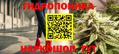 трава Камышлов