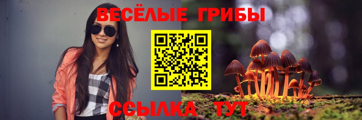 Псилоцибиновые грибы прущие грибы Красноярск